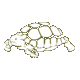 Turtle is a symbol for the Kapha Dosha